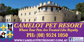 CAMELOT PET RESORT 🐕❤️🐾 AFFORDABLE ELITE PET BOARDING KARNUP - TAKING BOOKINGS
