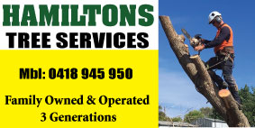 HAMILTON'S TREE SERVICE -  STUMP GRINDING SPECIALISTS