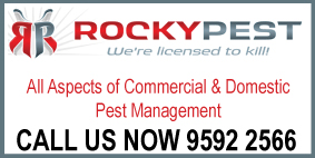 ROCKYPEST - HIGH QUALITY PEST MANAGEMENT SERVICES